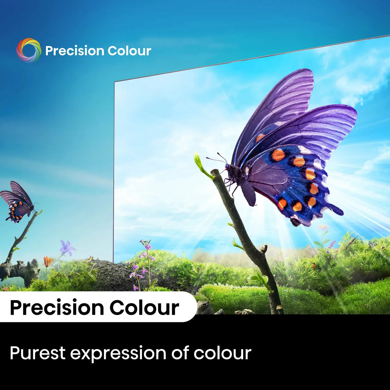 Hisense E6N 50" 4K Ultra HD Smart Freely TV [2024] - 50E6NTUK
